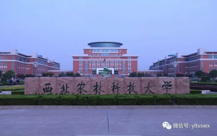 转载杨凌视线西农大横向到边纵向到底四举措全方位推进扫黑除恶专项