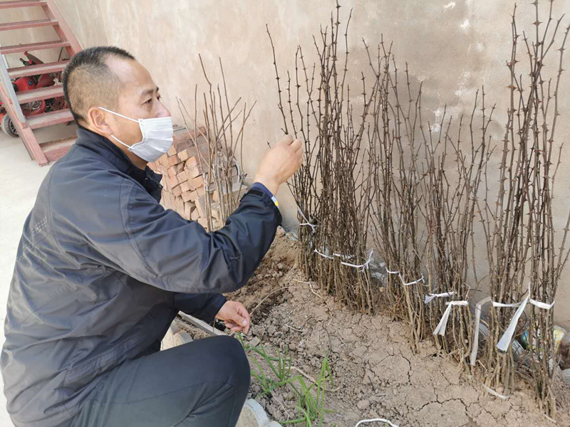微信图片_20200318161648.jpg