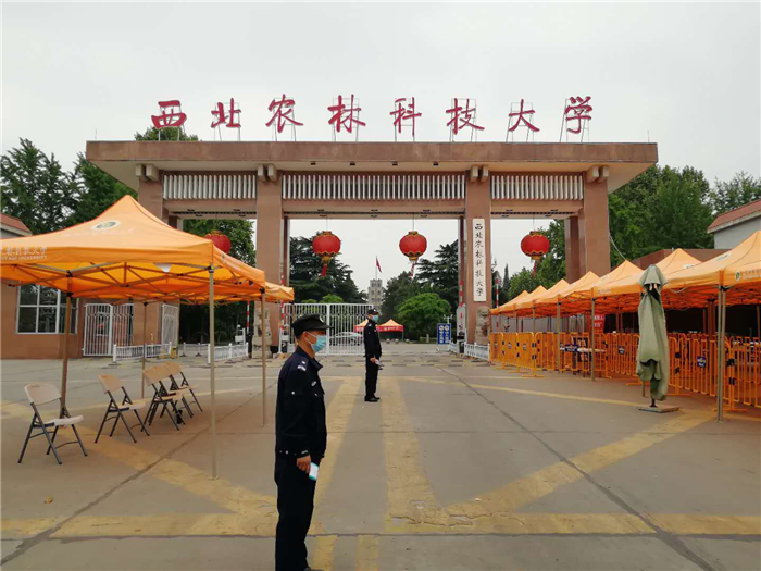 严查车辆 (2).png